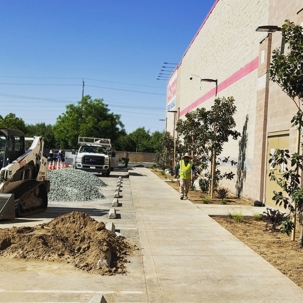 costco landscape upgrade