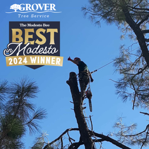 best in modesto