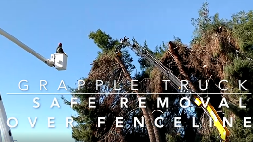 Crane Pick with Chainsaw Grapple!