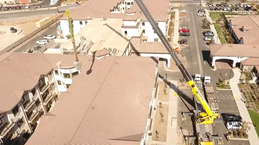 Palm Trees Installed Over 3 Story Building!!