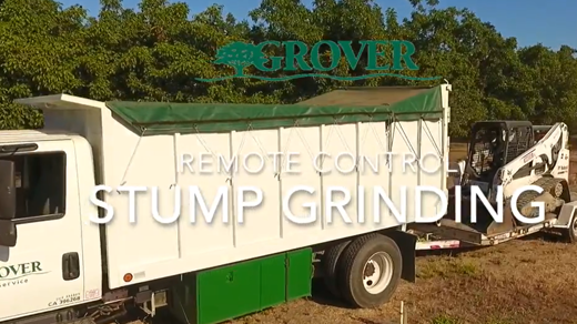 Remote Control Stump Grinding