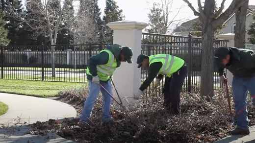 Grover Landscaping Maintenance