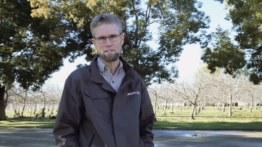 Keep Your Trees Healthy