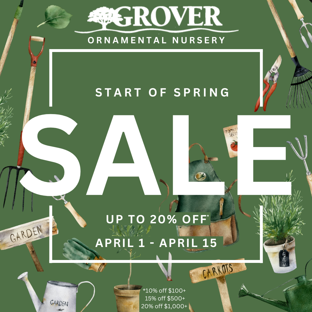 Spring Sale flyer