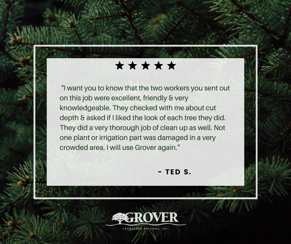 Customer Note