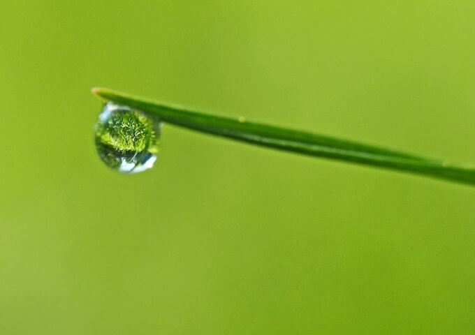 mirror-in-the-drop-grass-meadow-mirroring